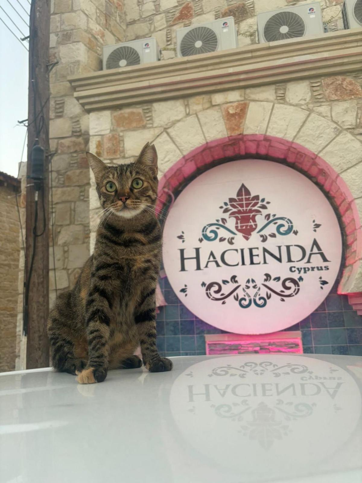 فندق La Hacienda Cyprus ليماسول المظهر الخارجي الصورة